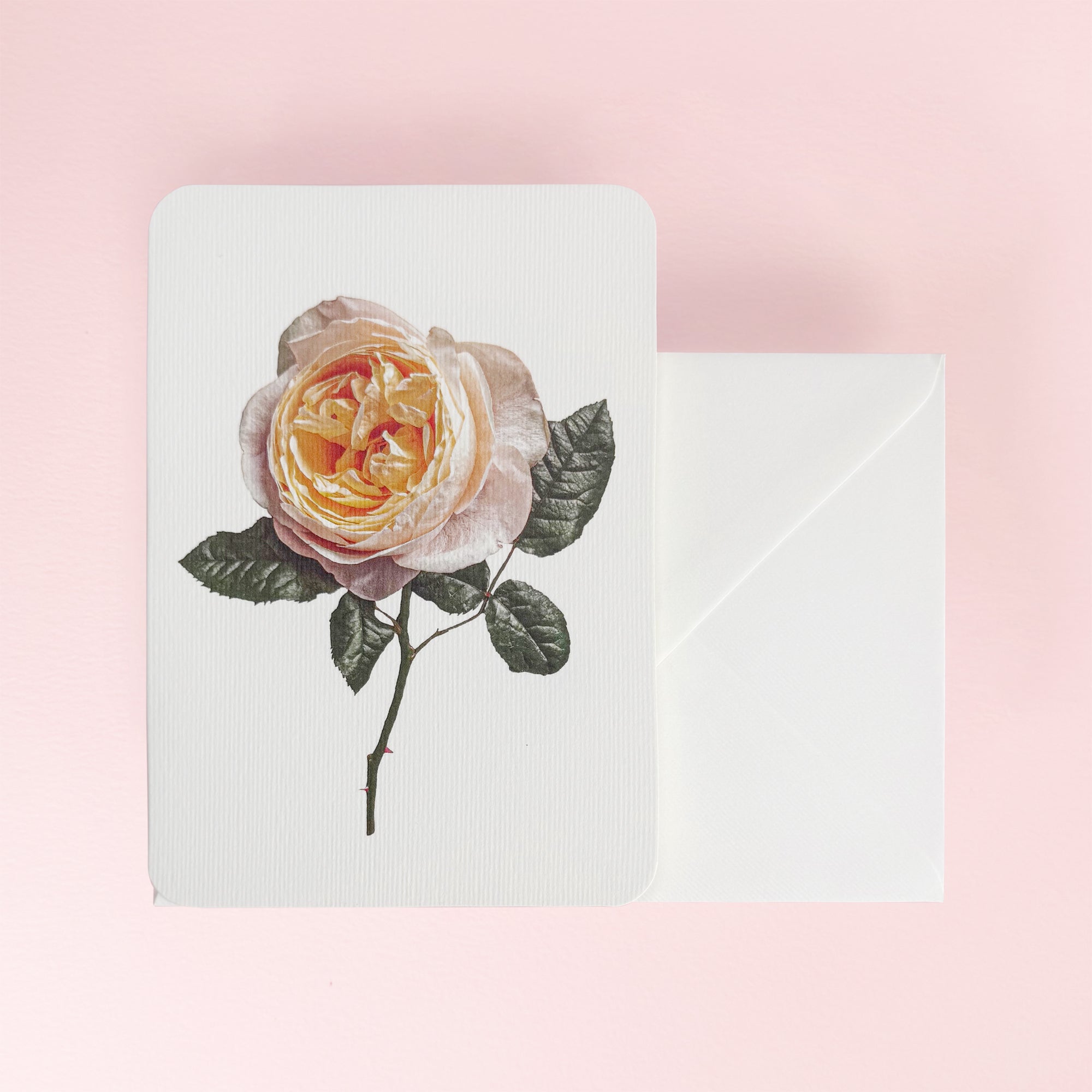 Canonbury_Press_blush_rose_card_envelope