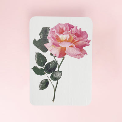 Canonbury_Press_pink_rose_card