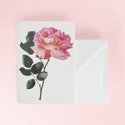 Canonbury_Press_pink_rose_card_envelope