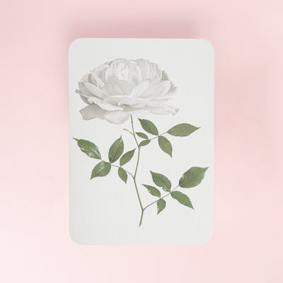 Canonbury_Press_white_rose_card