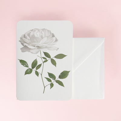 Canonbury_Press_white_rose_card_envelope