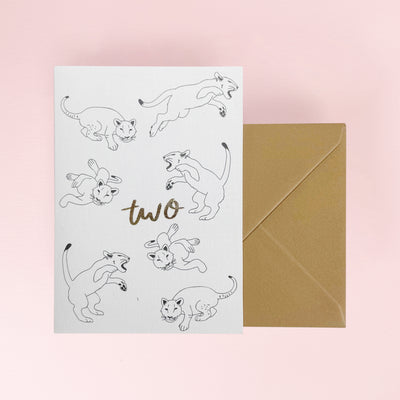 Kinshipped_two_Card_envelope