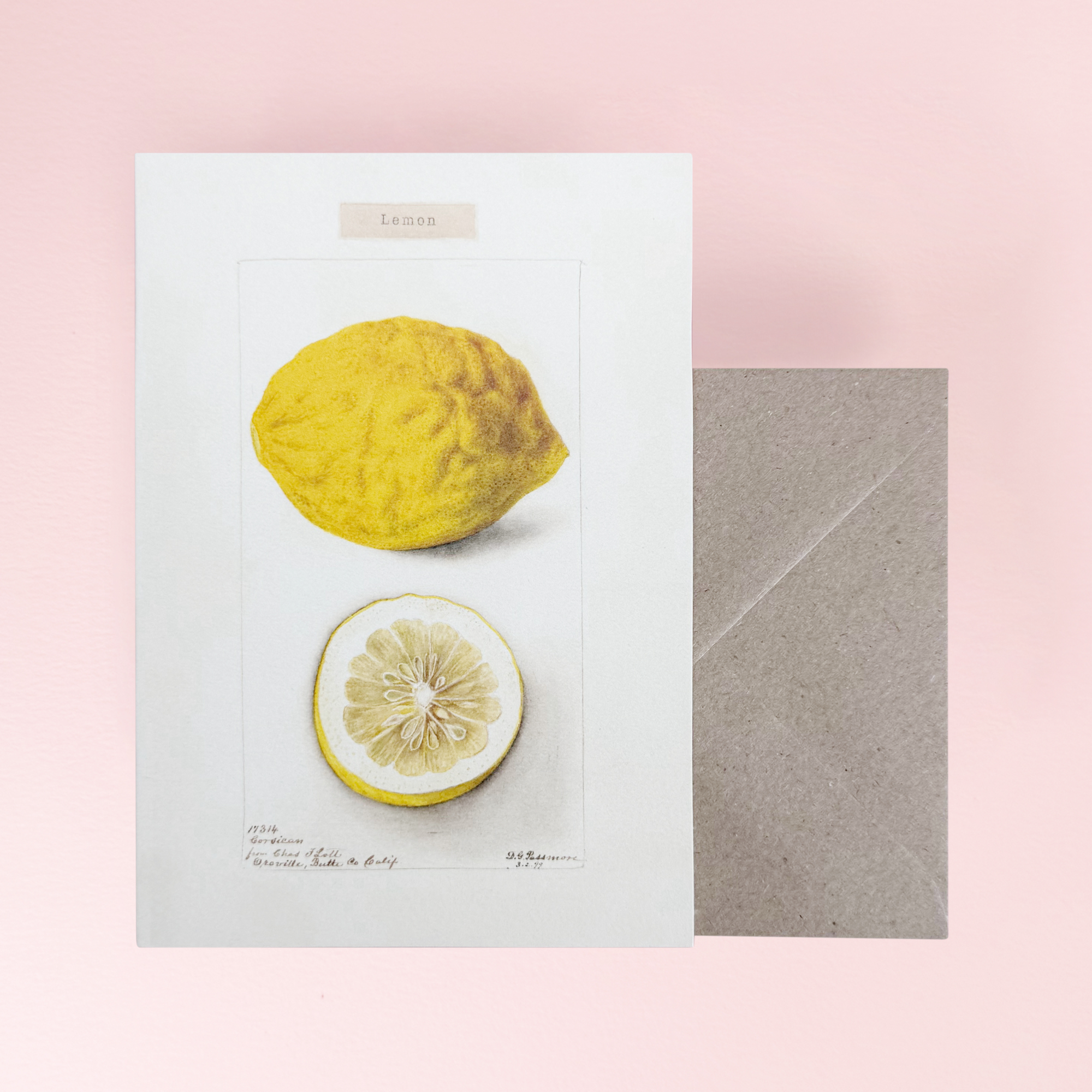 Lemon Card by The Pattern Book