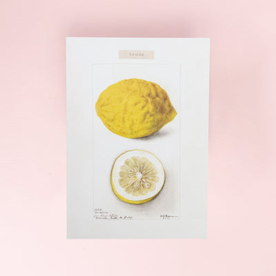 Lemon Card by The Pattern Book