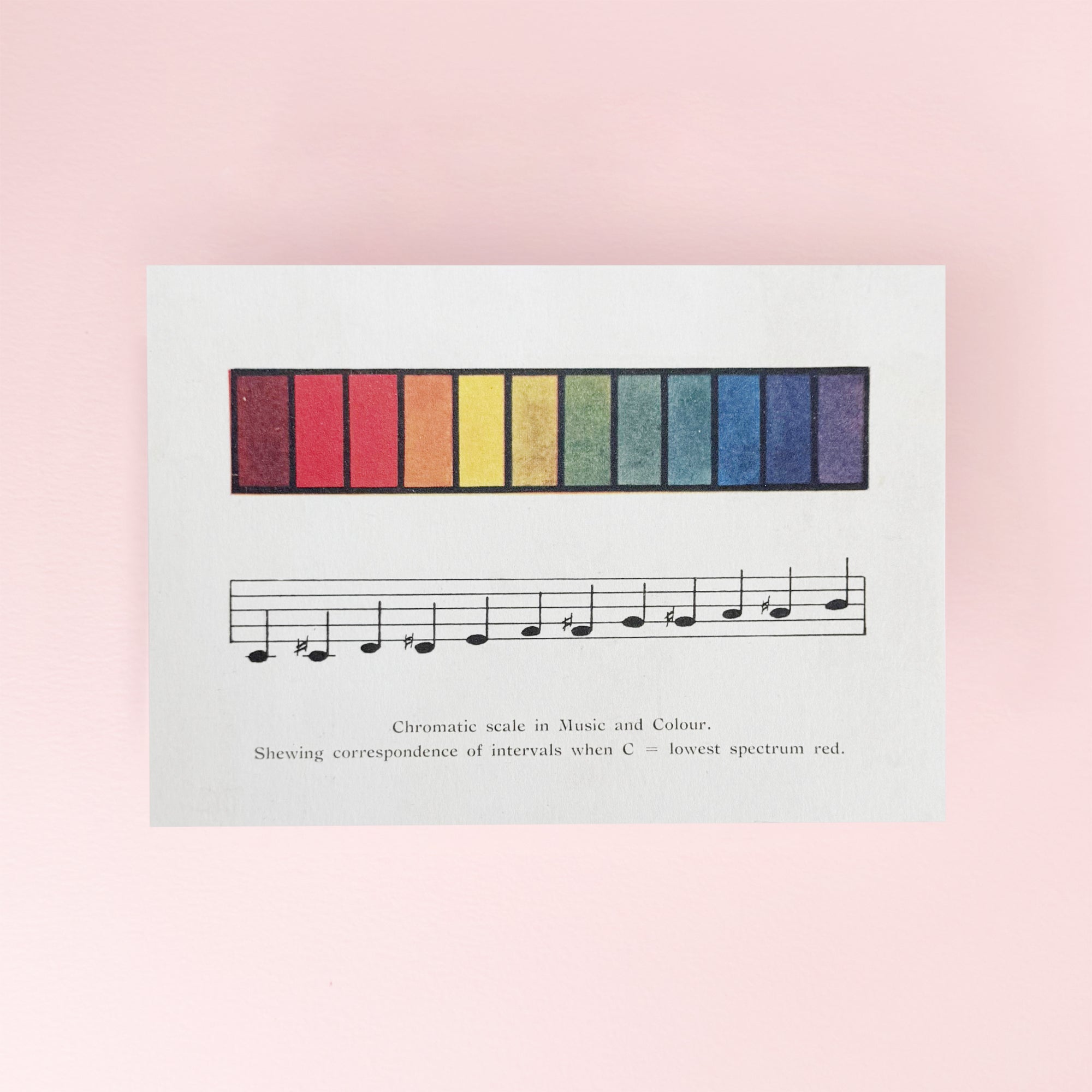 Colour Scale Card by The Pattern Book