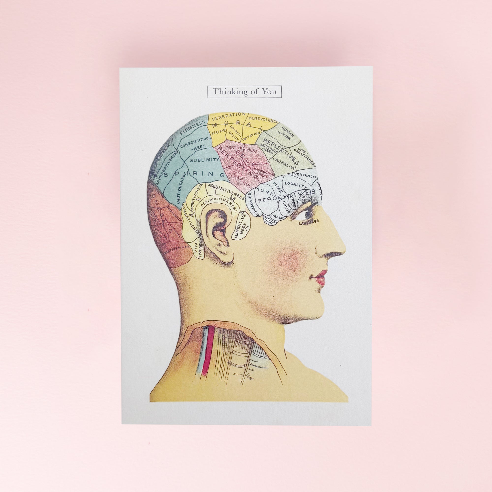 Thinking of You Card by The Pattern Book