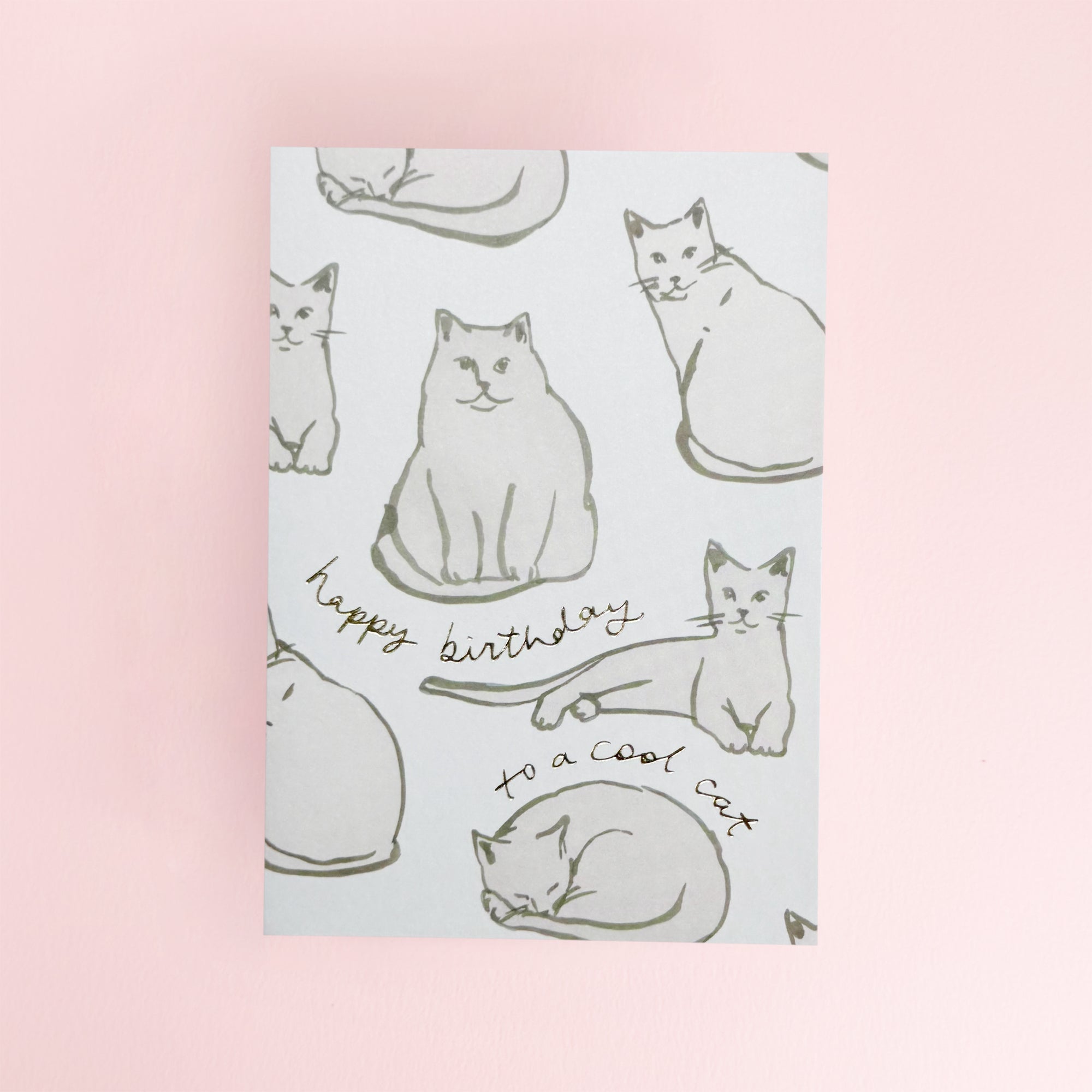 Cool Cat Birthday Card by Wanderlust Paper Co.