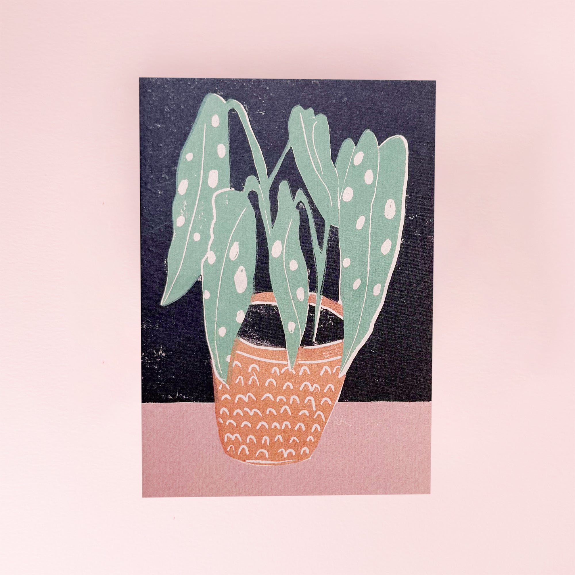 luiza_holub_house_big_plant_card