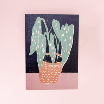 luiza_holub_house_big_plant_card