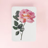 Canonbury_Press_pink_rose_card