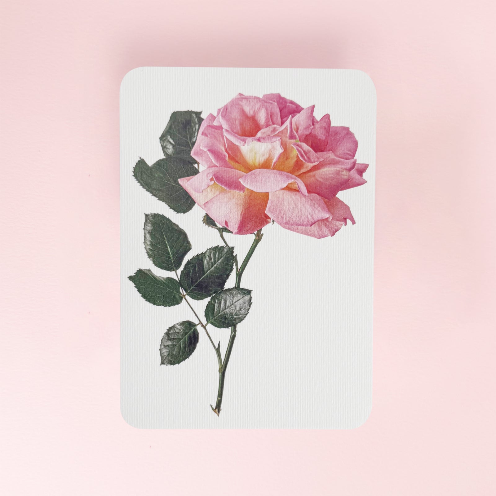 Canonbury_Press_pink_rose_card