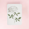 Canonbury_Press_white_rose_card