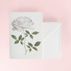 Canonbury_Press_white_rose_card_envelope
