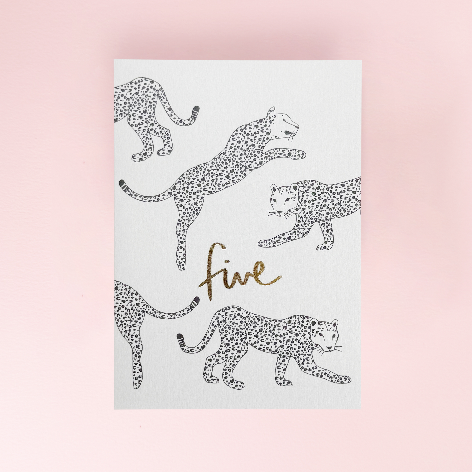 Kinshipped_five_card