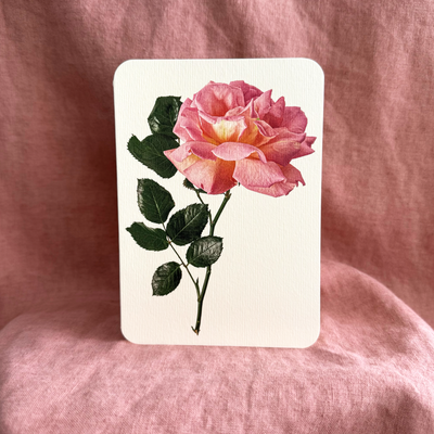 pink_rose_card