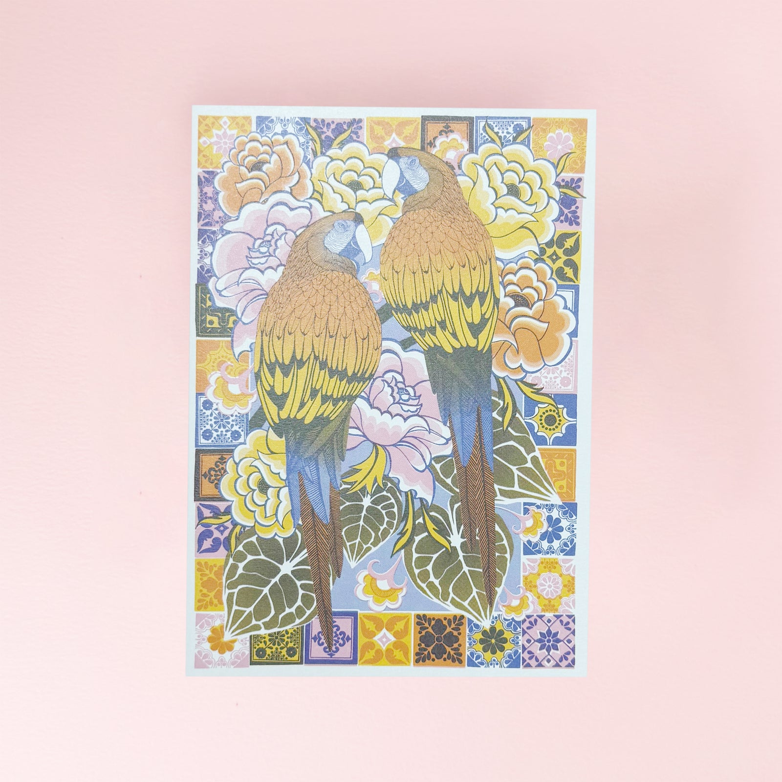 printer_johnson_maccaws_card